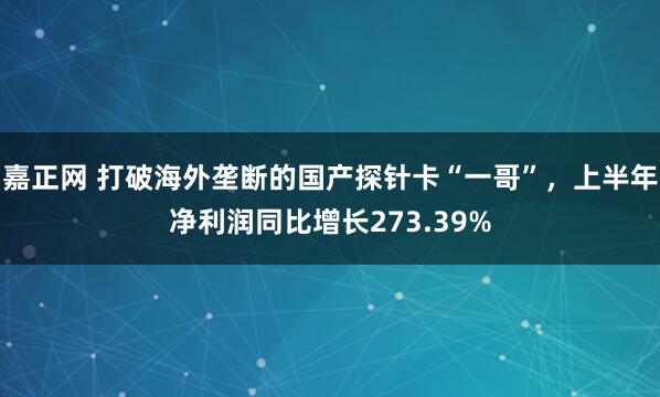 嘉正网 打破海外垄断的国产探针卡“一哥”，上半年净利润同比增长273.39%