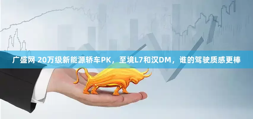 广盛网 20万级新能源轿车PK，至境L7和汉DM，谁的驾驶质感更棒